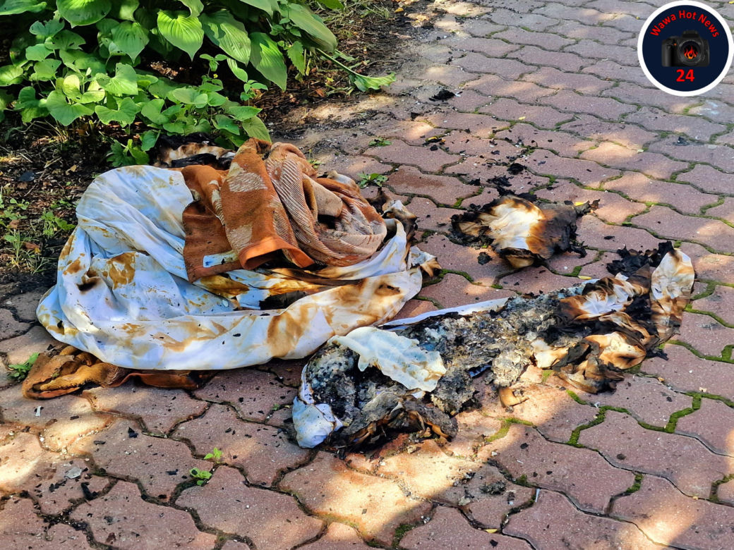 Horror! Pożar w Tworkach, 50 nerwowo chorych pacjentów ewakuowanych