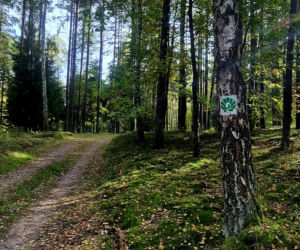 Szlak Świętej Warmii nabiera kształtów. Ponad 400 kilometrów trasy przez Warmię jest znakowanych
