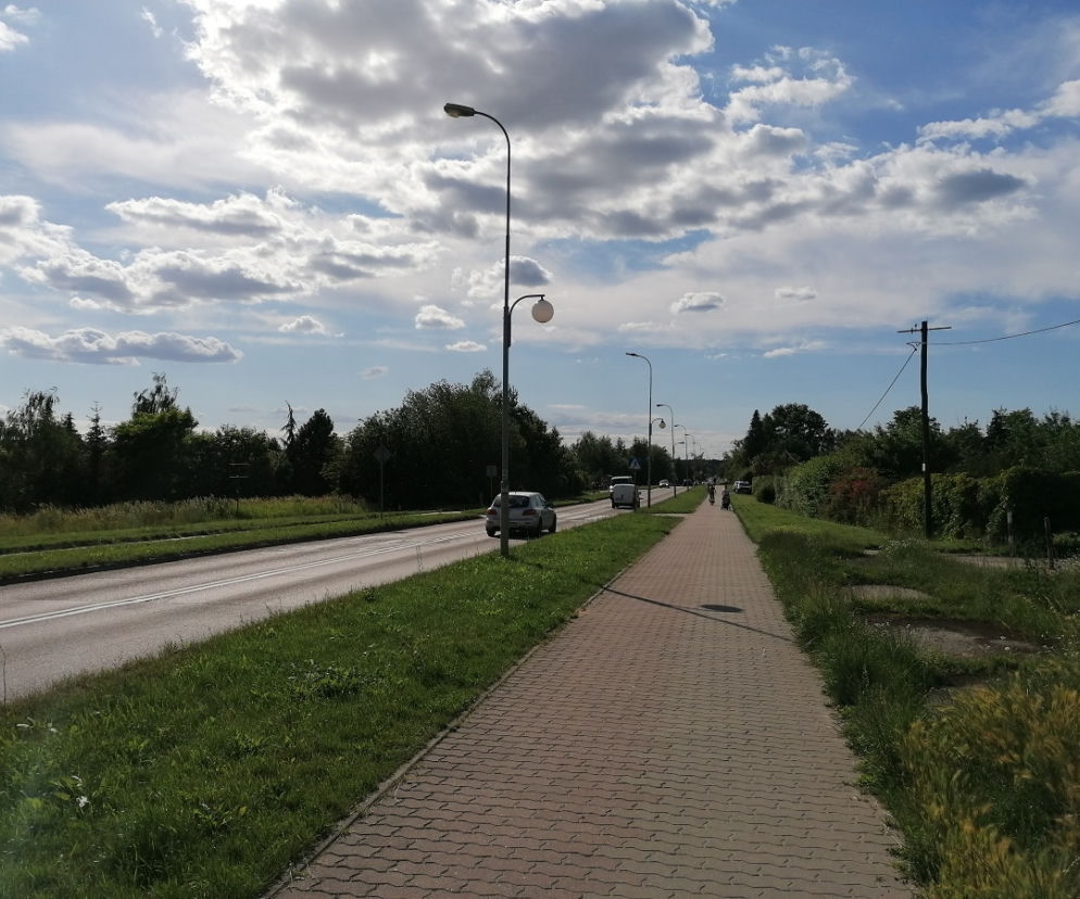 Gorzów szarych