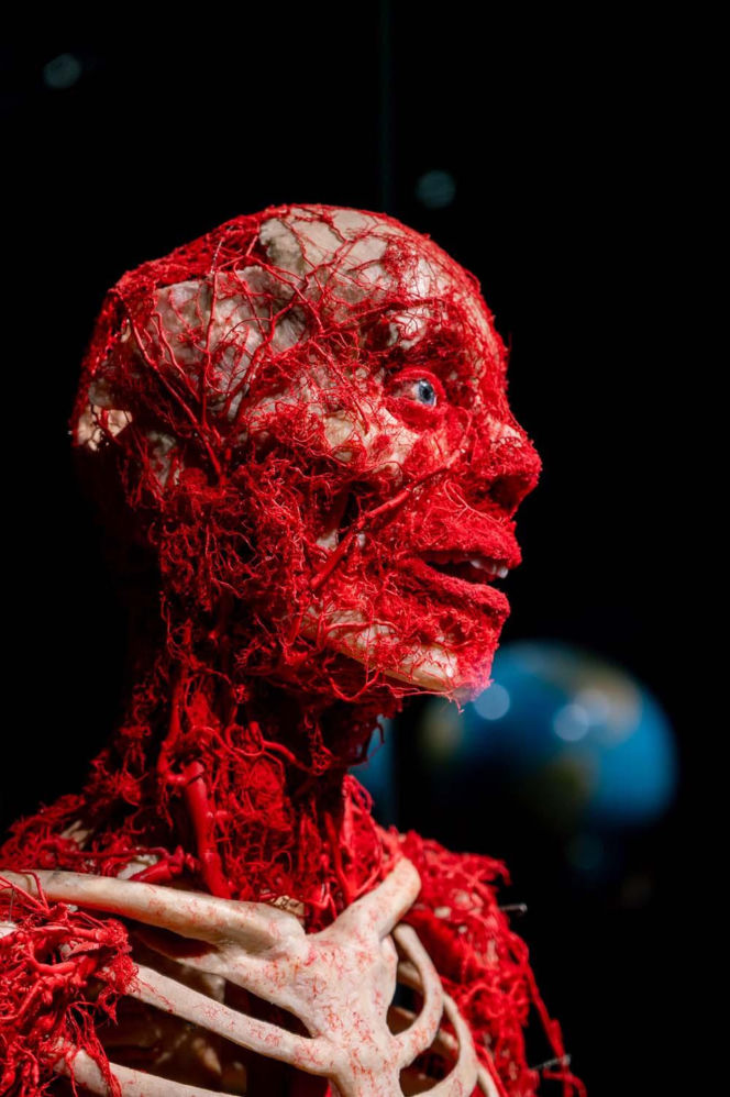 Body Worlds