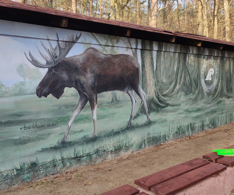 Mural z łosiem stanął przy drodze. Ma ostrzegać kierowców [ZDJĘCIA]