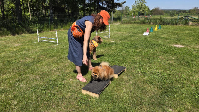 Dogoterapia Kielce