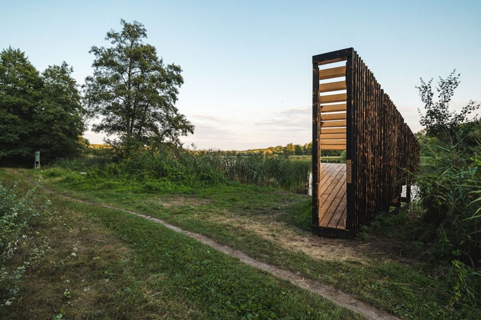 Mood for Wood 2020 – wiosenna edycja warsztatów. Zapisy