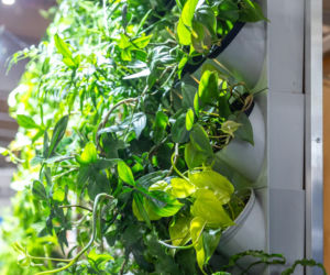 BUDMA 2026 - zdjęcia