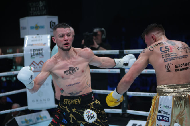 Kalinowski - Stępień