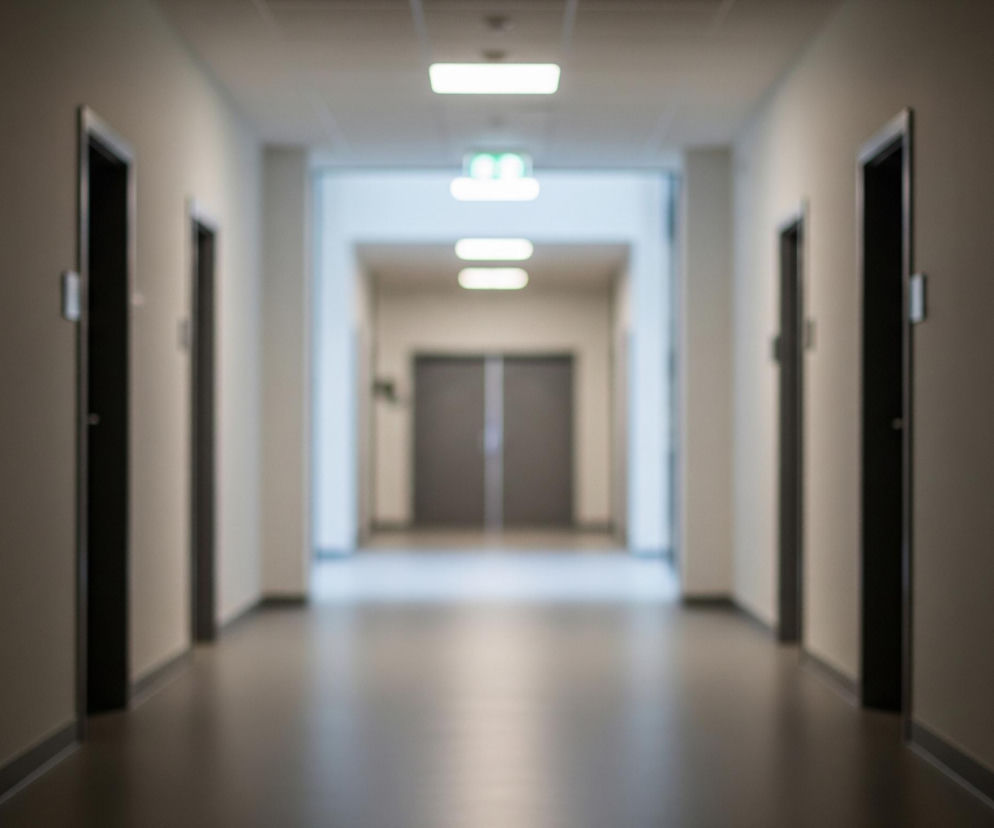 Długi, symetryczny korytarz rozciąga się w głąb obrazu, stopniowo się zwężając. Po obu stronach widoczne są ciemne drzwi, rozmieszczone w równych odstępach, z jaśniejszymi elementami wokół futryn, wyglądającymi jak identyfikatory. Ściany korytarza mają jednolity, neutralny kolor, a na podłodze leży ciemne, odbijające światło poszycie. Sufit zdobią prostokątne lampy fluorescencyjne, oświetlające przestrzeń jasnym, białym światłem, a w oddali widać także zielony, świecący znak.