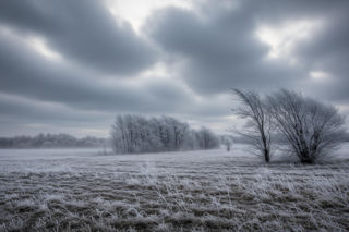 Częstochowa: Mroźny 20 listopada uderza z impetem. Czy to zapowiedź prawdziwej zimy?