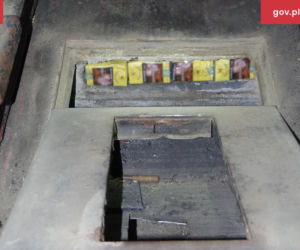 W autobusie tylko kierowca, pasażer i... coś, co zainteresowało celników!