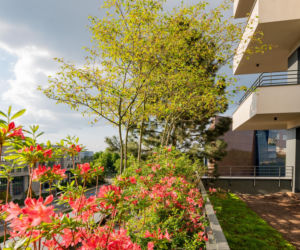 Damrota Garden - apartamentowiec w Katowicach z drzewami na fasadzie i dachu - czerwiec 2026