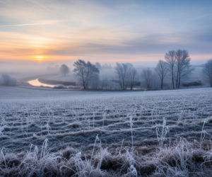 Ostrzeżenia IMGW dla Polski. Jakie regiony dotkną przymrozki?