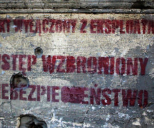 Krasińskiego 97