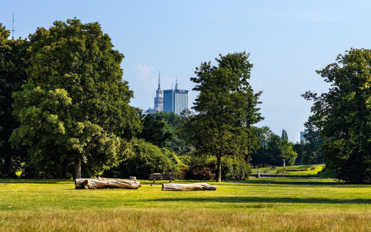 Warszawa miała lotnisko w samym centrum miasta. Dzisiaj jest tam wielki park!