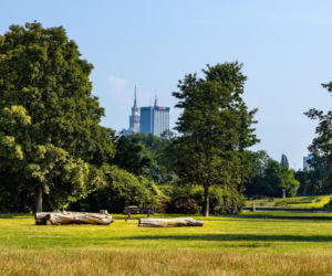 Warszawa miała lotnisko w samym centrum miasta. Dzisiaj jest tam wielki park!
