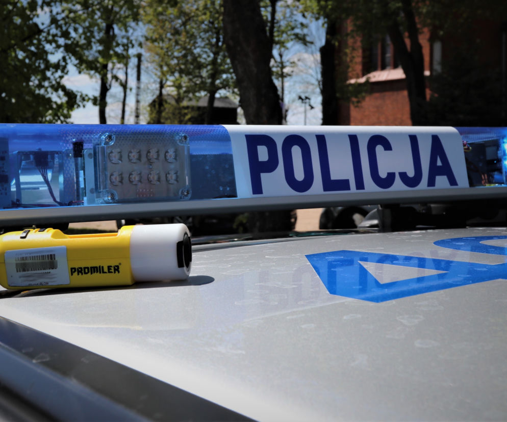 Wjechał w barierki, a potem uciekł do lasu