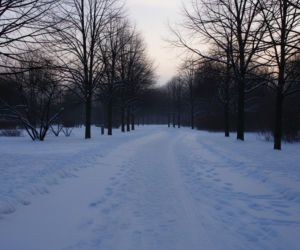 Nastolatka uciekła na mróz. Czy rodzinny spór mógł zakończyć się tragedią?