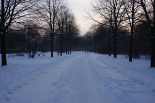 Nastolatka uciekła na mróz. Czy rodzinny spór mógł zakończyć się tragedią?