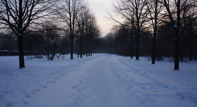 Nastolatka uciekła na mróz. Czy rodzinny spór mógł zakończyć się tragedią?