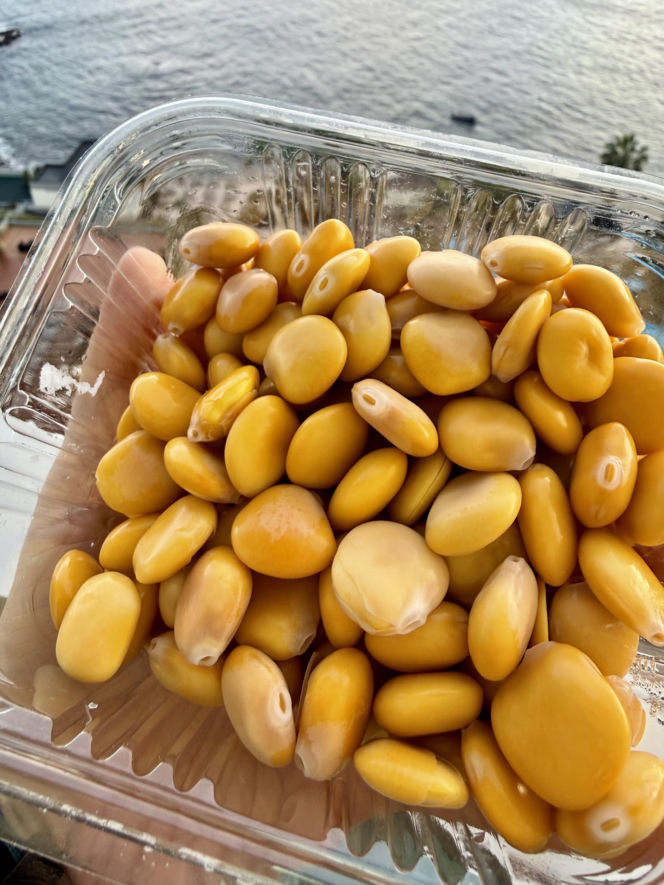 Łubin jako przegryzka