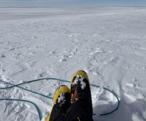 Siedlczanin Kryspin Mitura ukończył Koronę Ziemi oraz Koronę Wulkanów Ziemi w rozszerzonym wariancie „Double Seven Summits”!