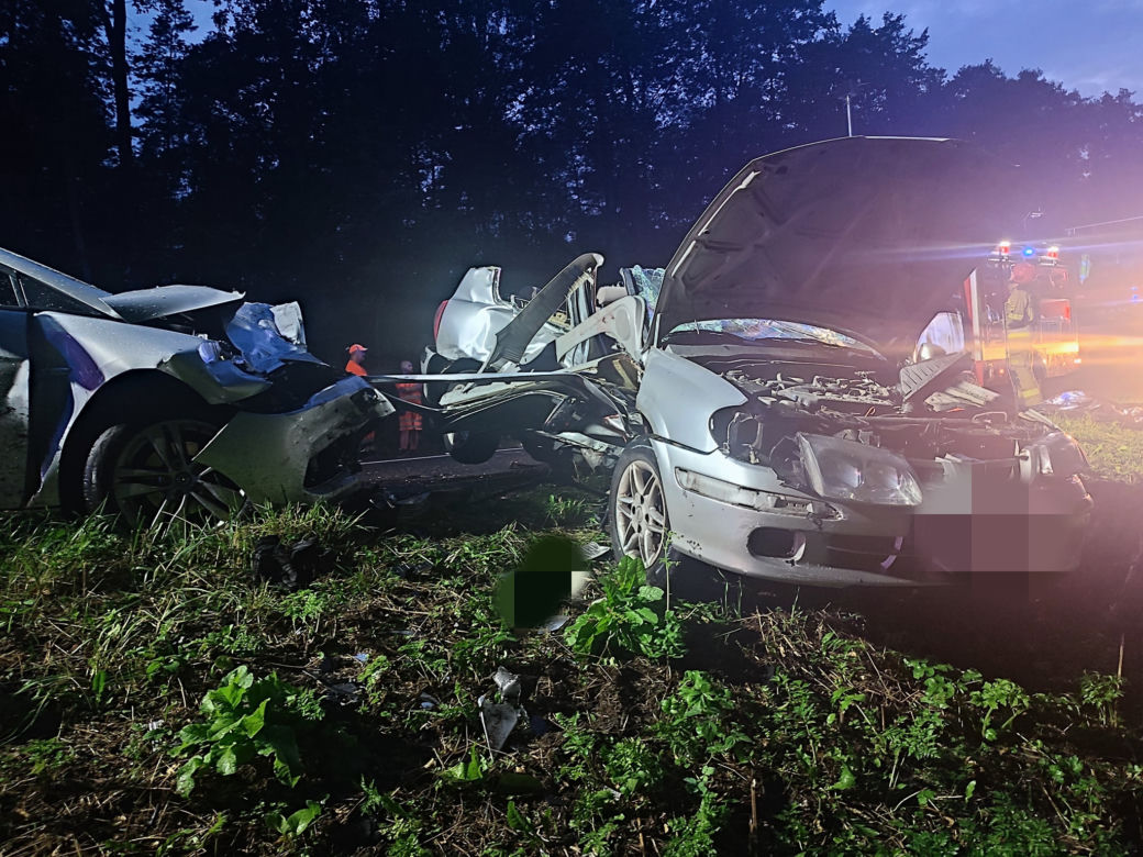 Makabra pod Wyszkowem. Jedna osoba nie żyje, cztery, w tym troje dzieci, trafiły do szpitala