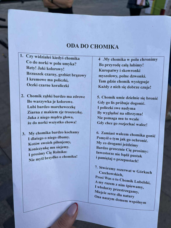 Protest w obronie Górek Czechowskich przed ratuszem
