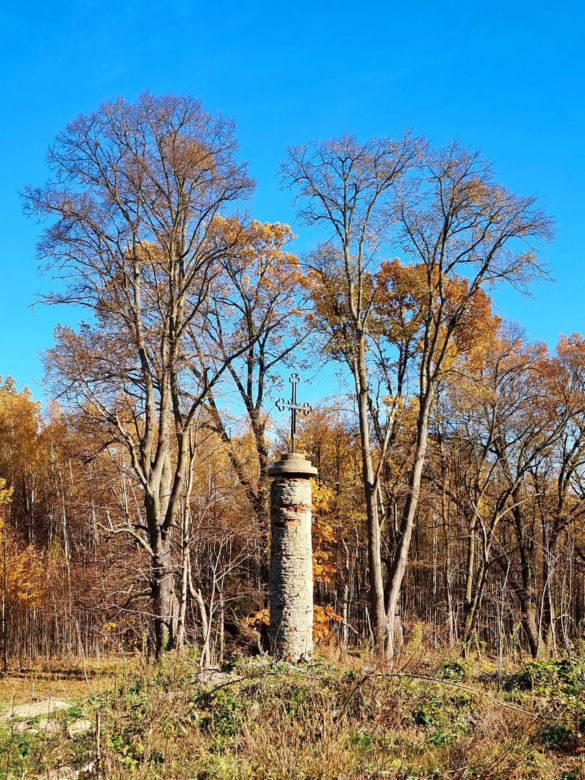 Kolumna z 1843 roku stanęła na drodze obwodnicy. Kryła historię zburzonego kościoła