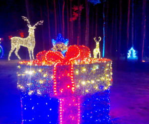 Lumina Park Bydgoszcz