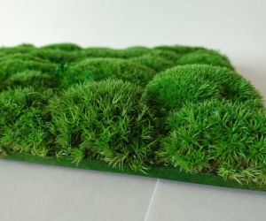 Green Decor