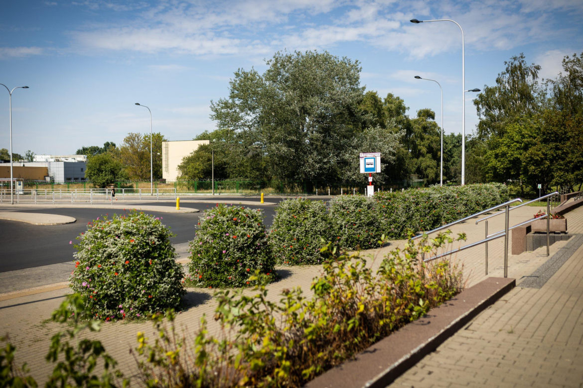Finał 40. edycji konkursu „Warszawa w kwiatach”. I miejsce w kategorii Założenia ogrodowe statutowe: Zarząd Oczyszczania Miasta
