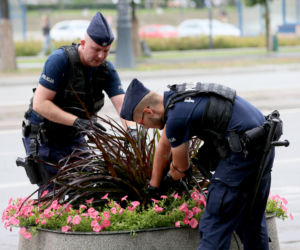 Policjanci grzebią w śmietnikach i kwietnikach w centrum Warszawy