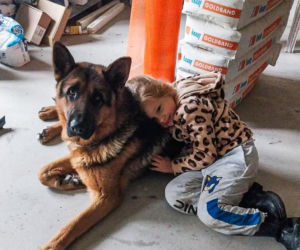 Zabrali dzieciom psa jak rzecz