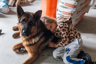 Zabrali dzieciom psa jak rzecz