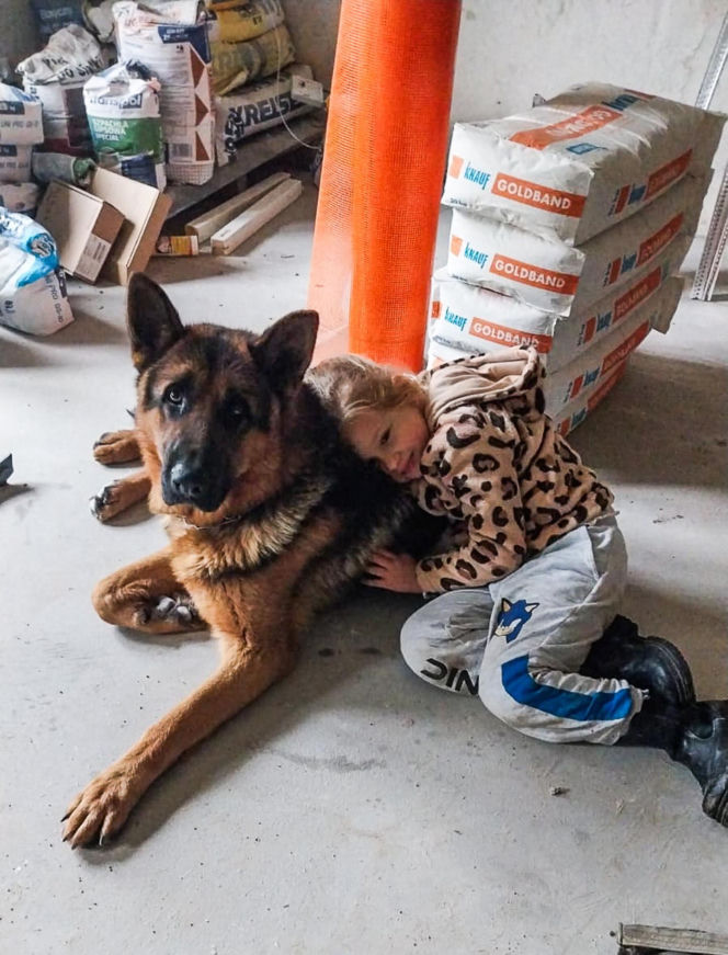 Zabrali dzieciom psa jak rzecz