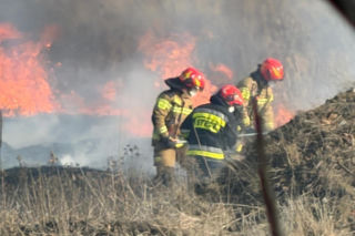 Pożary traw na Mazowszu. Strażacy przypominają o gigantycznych karach