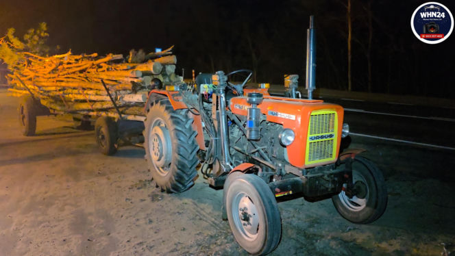 Koszmar na DK 50. 11-latka nie żyje. W auto wbiło się drzewo z ciągnika