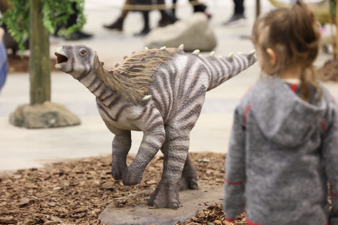 ZooPark 2023 w Lublinie przyciągnął tłumy!