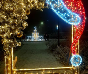 Ze szronem są jeszcze piękniejsze! Świąteczne iluminacje w Łomży