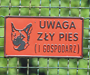 Rajskie życie oprawcy