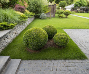 Topiary