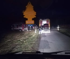 ZWŁOKI starszego mężczyzny znalezione w lesie! Był poszukiwany przez rodzinę