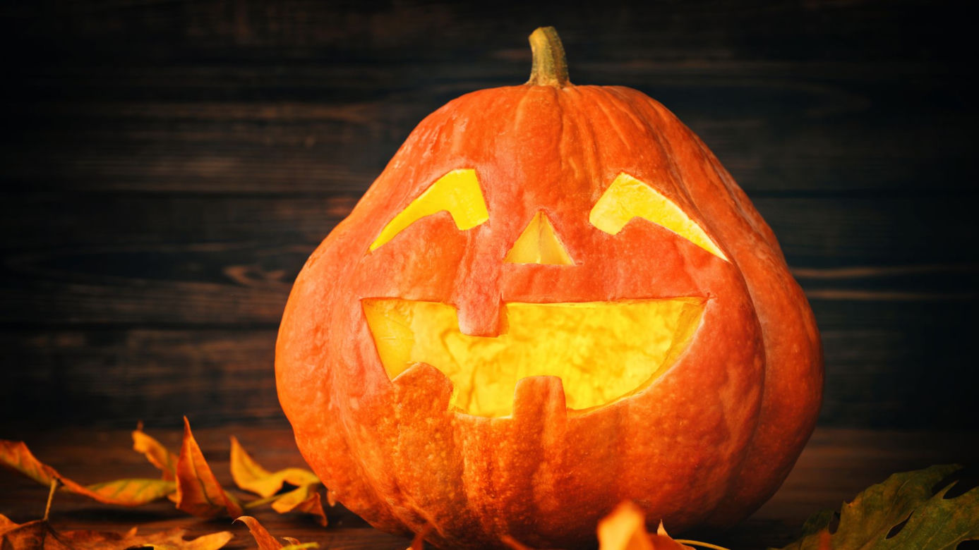 Dynia na Halloween. Jak zrobić krok po kroku? Straszne i śmieszne wzory [GALERIA]