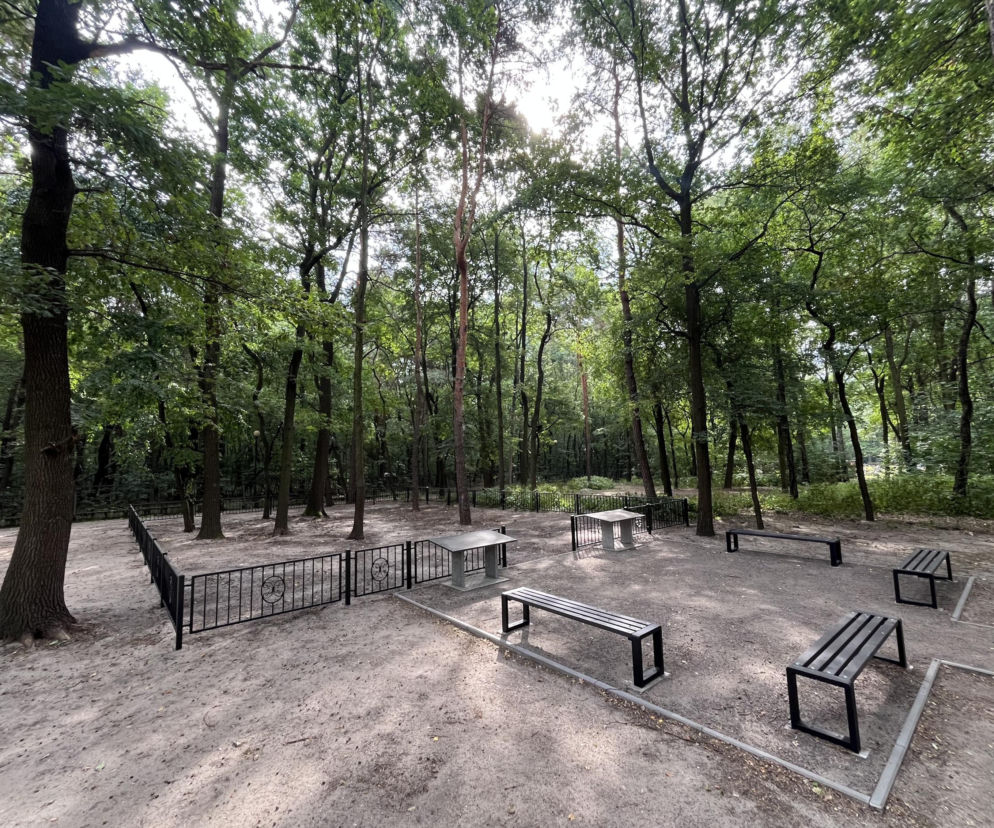 Gliwice mają pierwszy sektor ekologiczny na Cmentarzu Lipowym. Bez kwiatów i zniczy