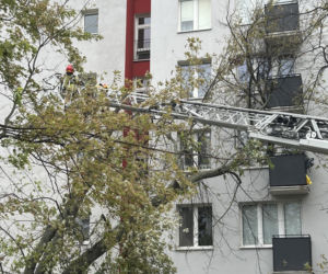 Potworne skutki wichury w Warszawie