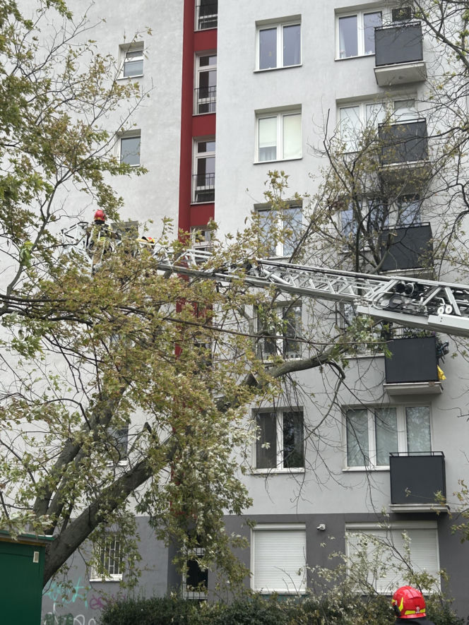 Potworne skutki wichury w Warszawie