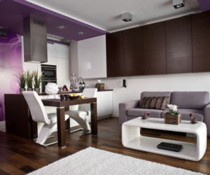 Salon z kuchnią