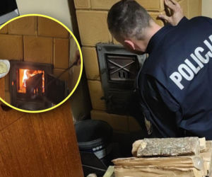 Wszedł do domu starszej pani i oniemiał! Mogło dojść do tragedii