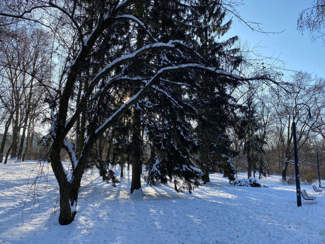 Śnieżna zima w Parku Praskim