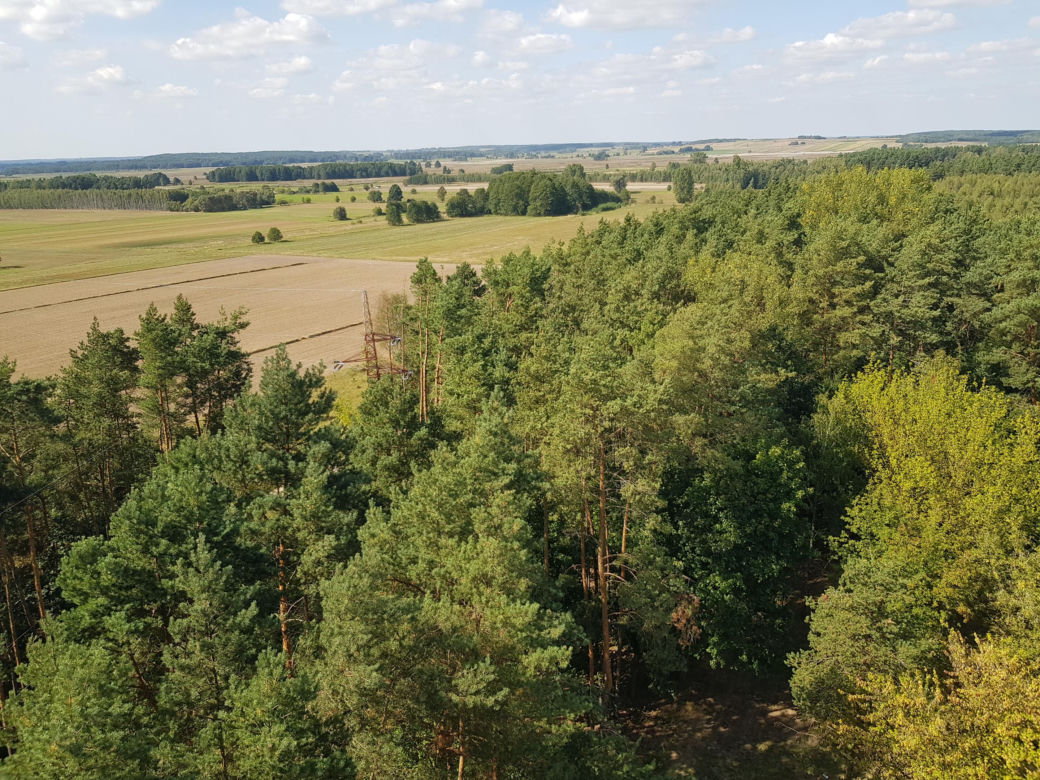 Wieża widokowa w Uhowie. To najwyższa wieża na Podlasiu [ZDJĘCIA]