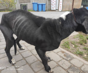 Nitka przeżyła HORROR