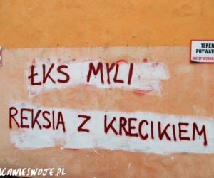 Napisy na łódzkich murach: Sztuka czy wandalizm? Ulica wie swoje...